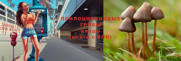 соль курить ск Богданович