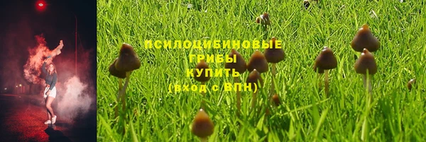 кокс Богородицк